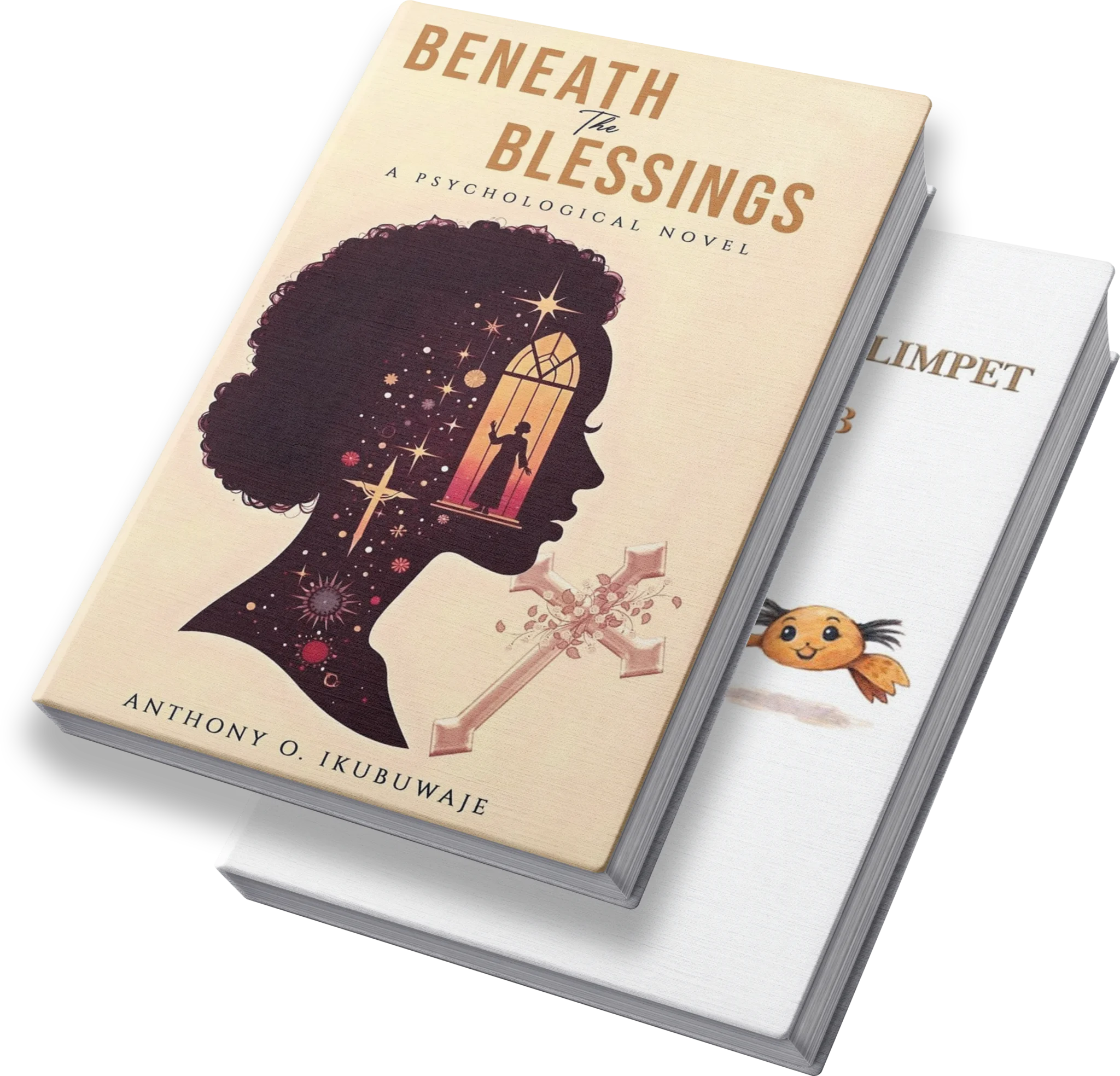 Professional book cover design